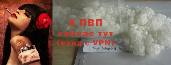 шишки Новозыбков