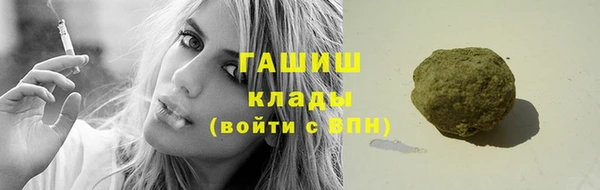 шишки Новозыбков