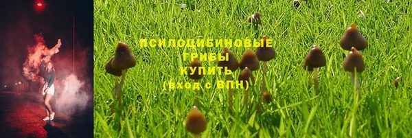 твердый Новокубанск