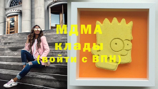 шишки Новозыбков