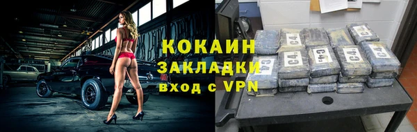 шишки Новозыбков
