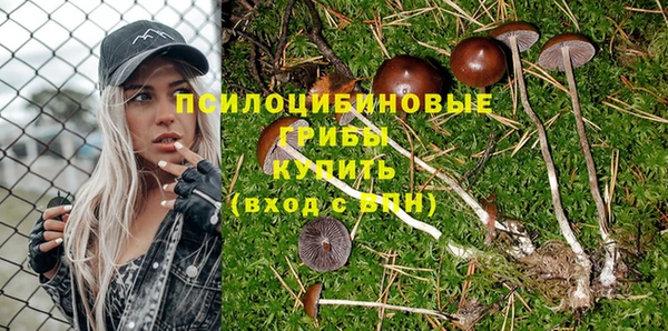 твердый Новокубанск