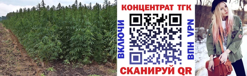 Дистиллят ТГК жижа  Купить где  Мглин 