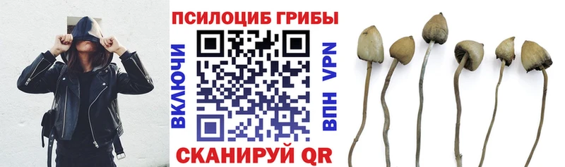 Галлюциногенные грибы прущие грибы  Купить где  Мглин 